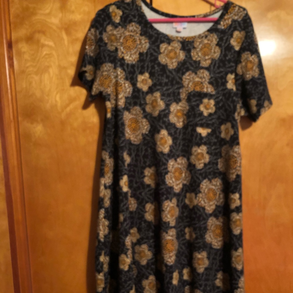 Lularoe Carly Dress - XS